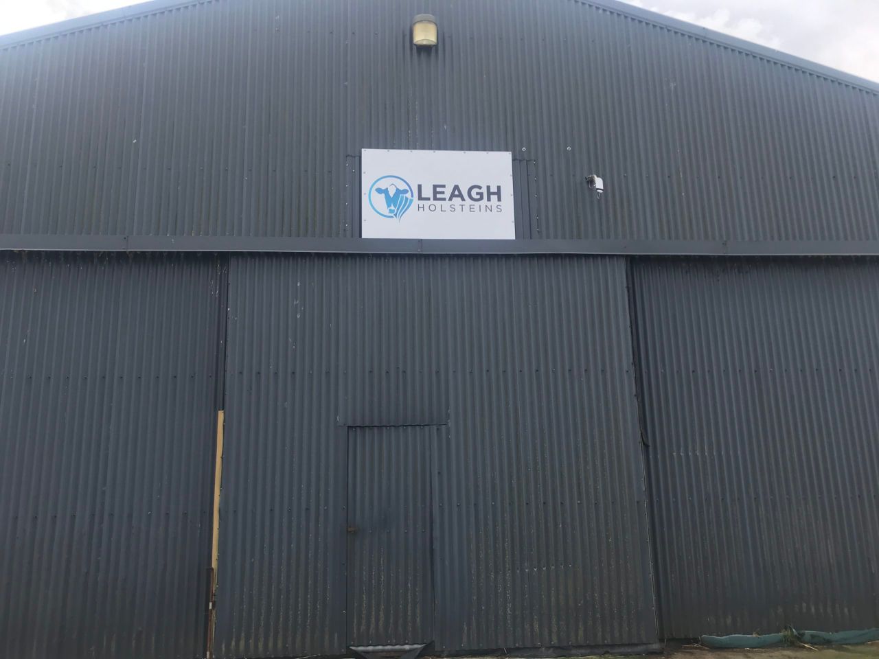 Dairy throwback: A passion for pedigree breeding at Leagh Holstein