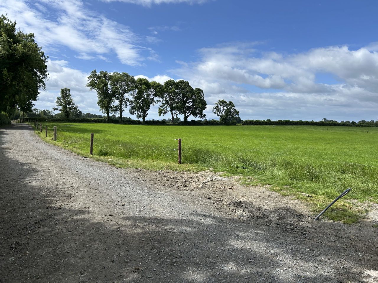 Lameness: Weather allowing for farm roadways revamp before next season