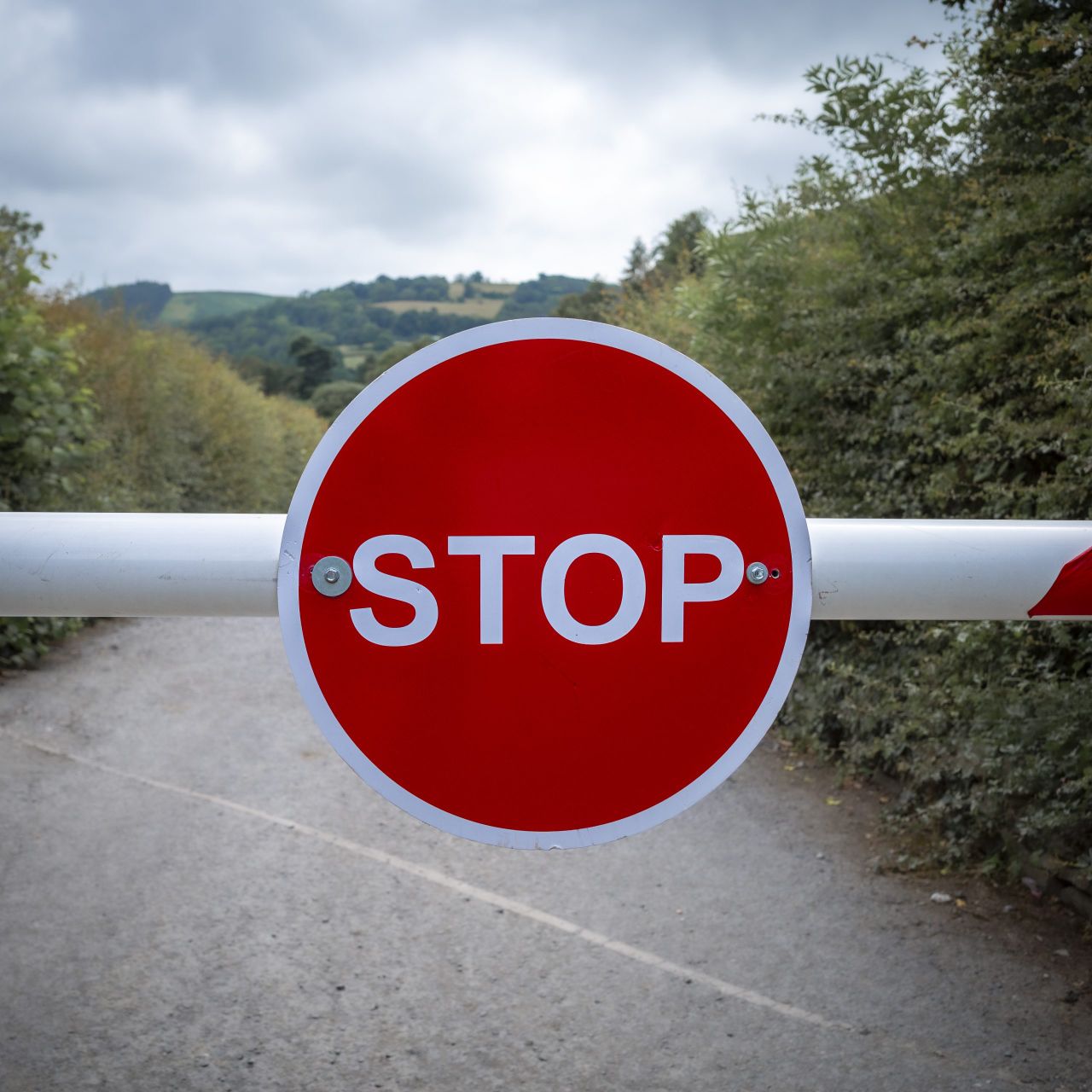 Bluetongue: Livestock moving from NI to south should be stopped - Independent Ireland
