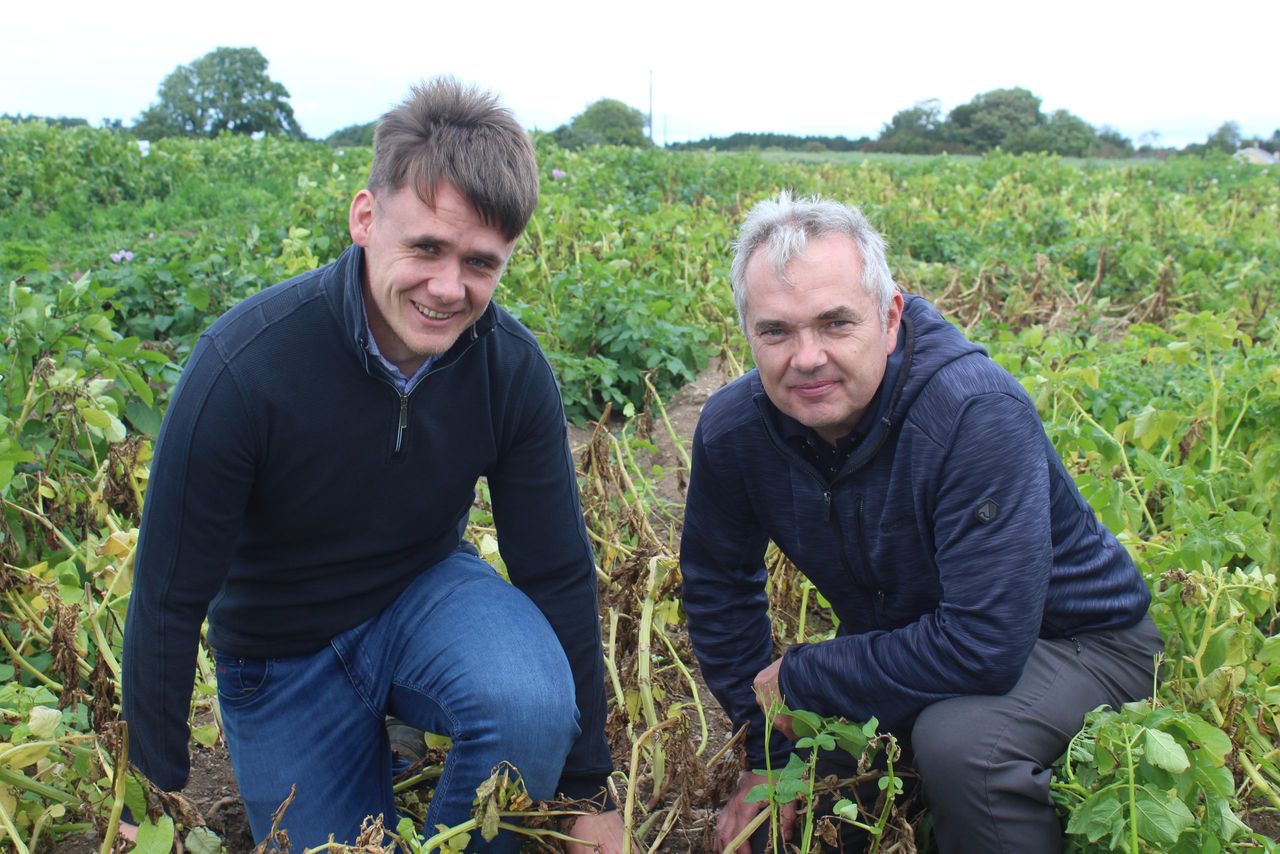 Tillage: Blight is extremely active in Ireland this year