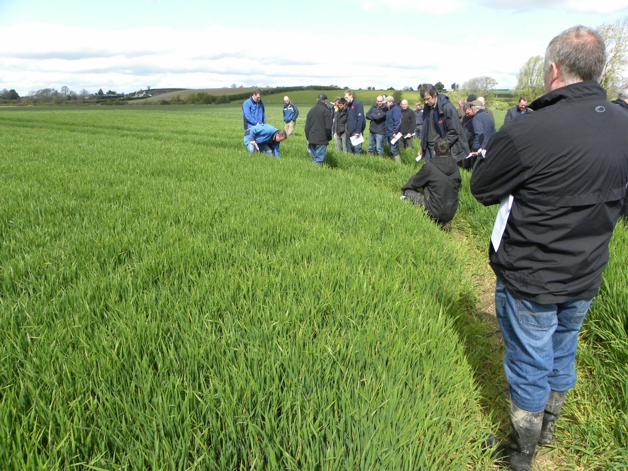 Well sown is well grown, according to Teagasc
