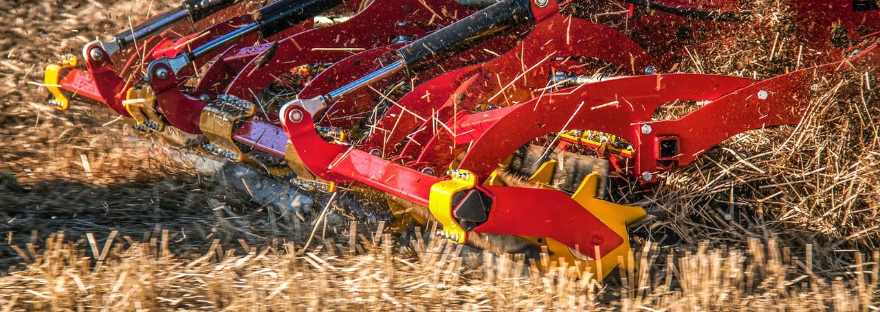 Straw incorporation boosts  soil health according to farmers