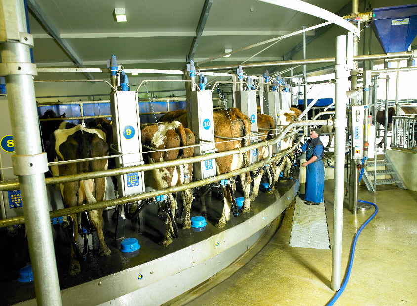 Fonterra offers guaranteed milk price contracts