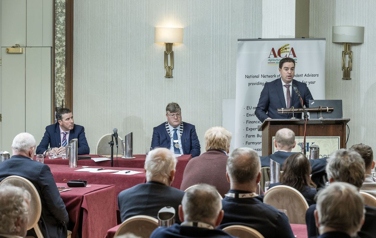 Watch: Minister doesn't foresee annual 'manual fix' for ACRES
