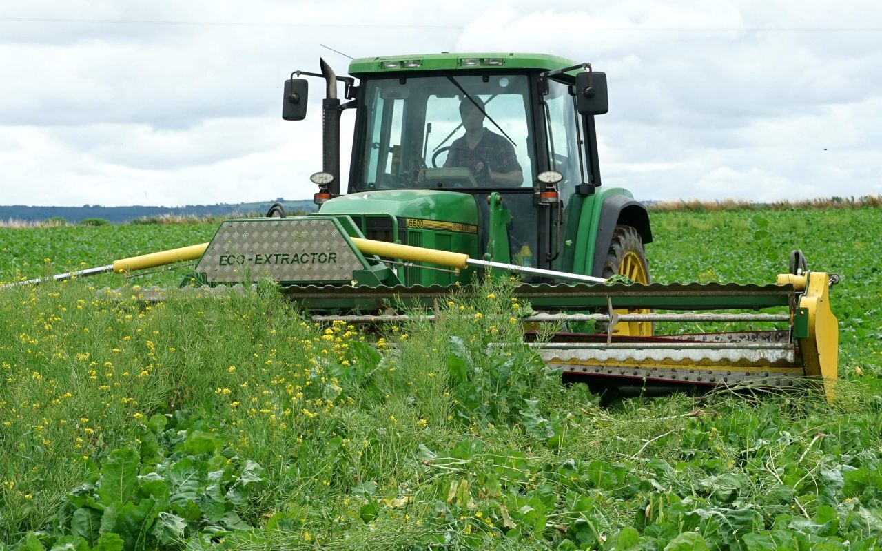 Eco-Extractor: Irish innovation in mechanical weeding