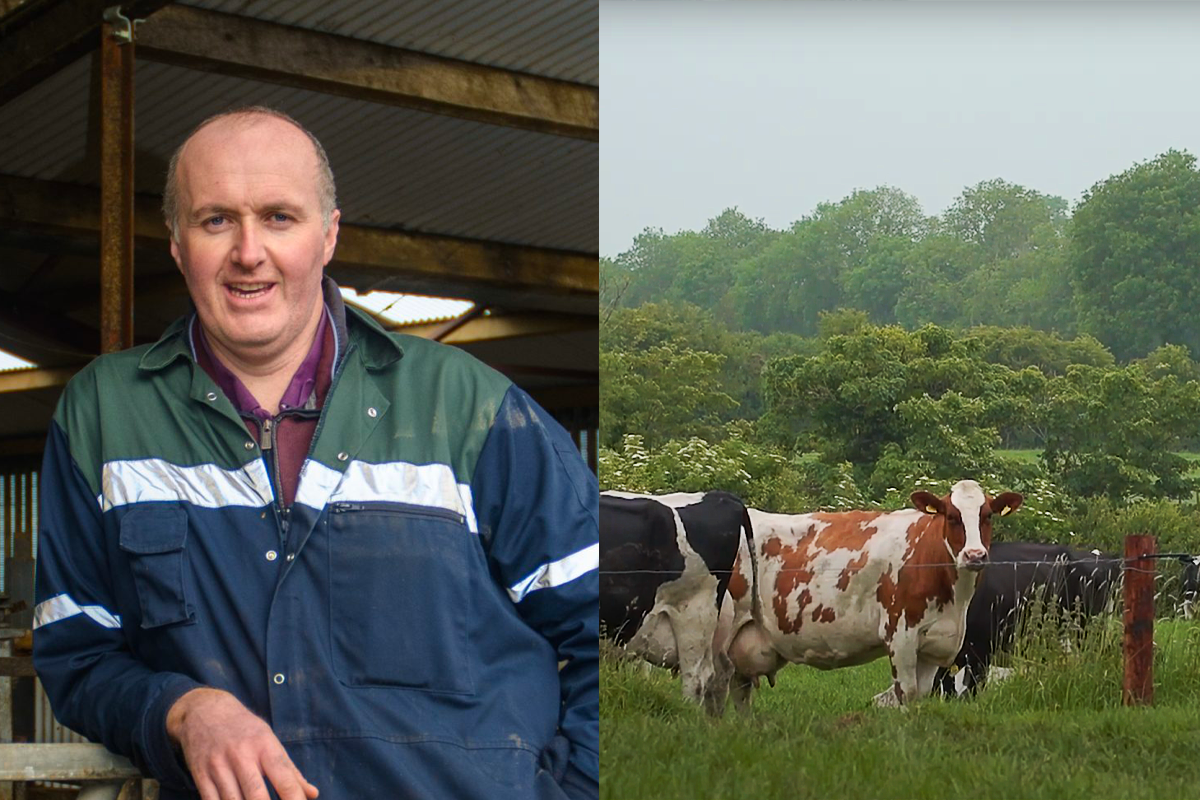 '2020 was a reasonable year for dairy farmers'