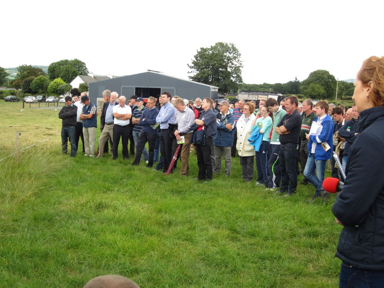 Part of the crowd at the Irish Grassland Association's beef open day in Waterford. 