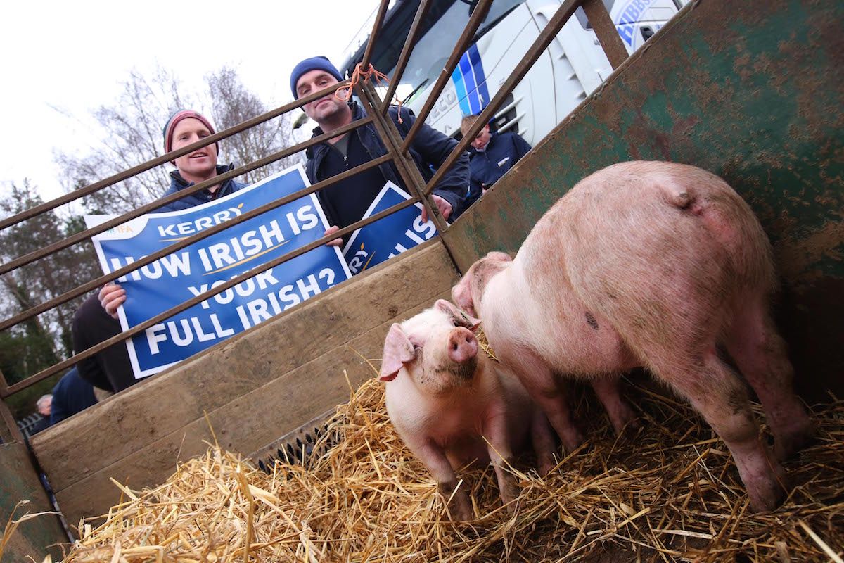 IFA pig committee facing split as protest planned at HQ