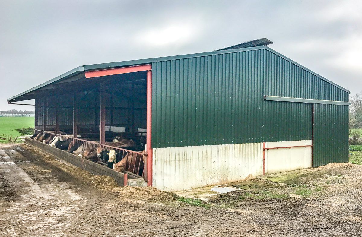 Buildings focus: A self-erected beef unit constructed without TAMS in Co. Kilkenny