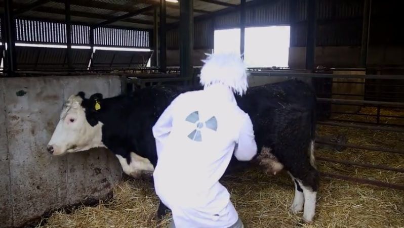 Videos: General Election candidates try to woo voters with crafty videos