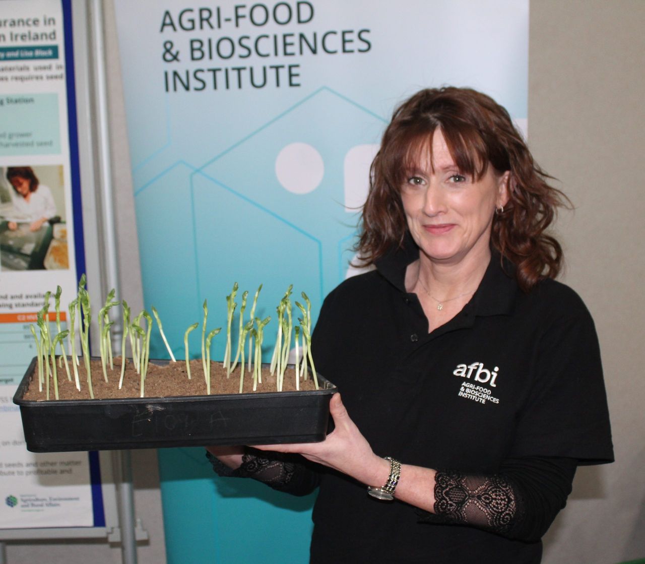 Protein Aid Scheme under review in NI - expert