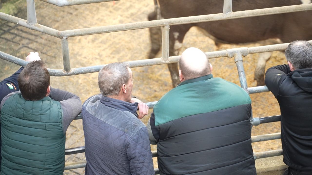 Are farmers losing out at marts because of flat-rate changes?
