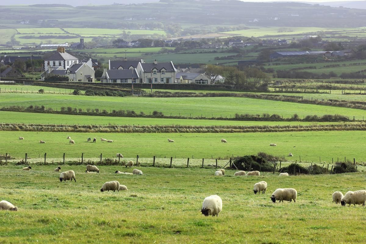 Met Éireann: Rain to return with cooler days in store