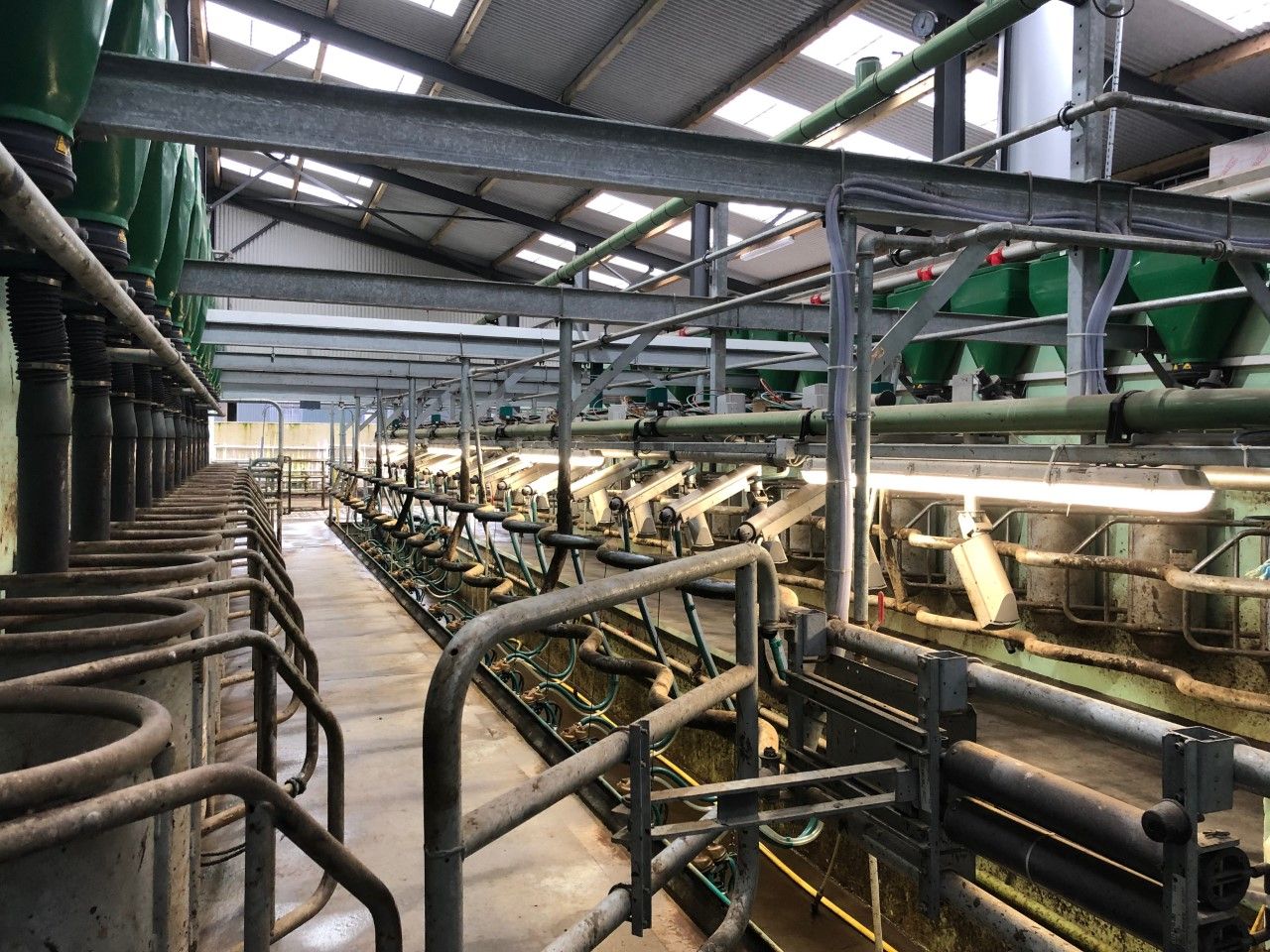 Buildings focus: 16-unit parlour and drafting system all under the one roof in Co. Westmeath