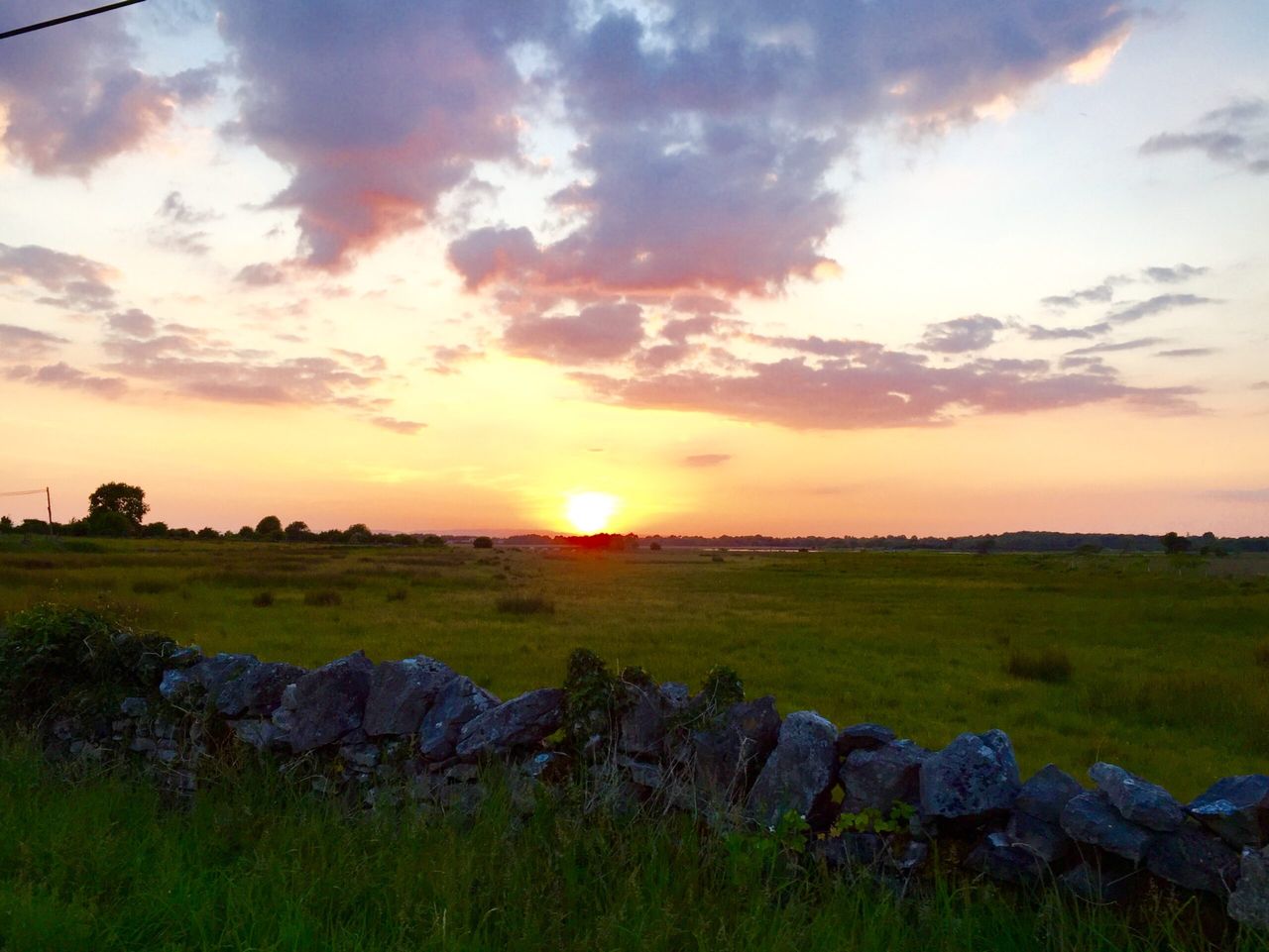 Weather settled for coming days, but wetter towards weekend