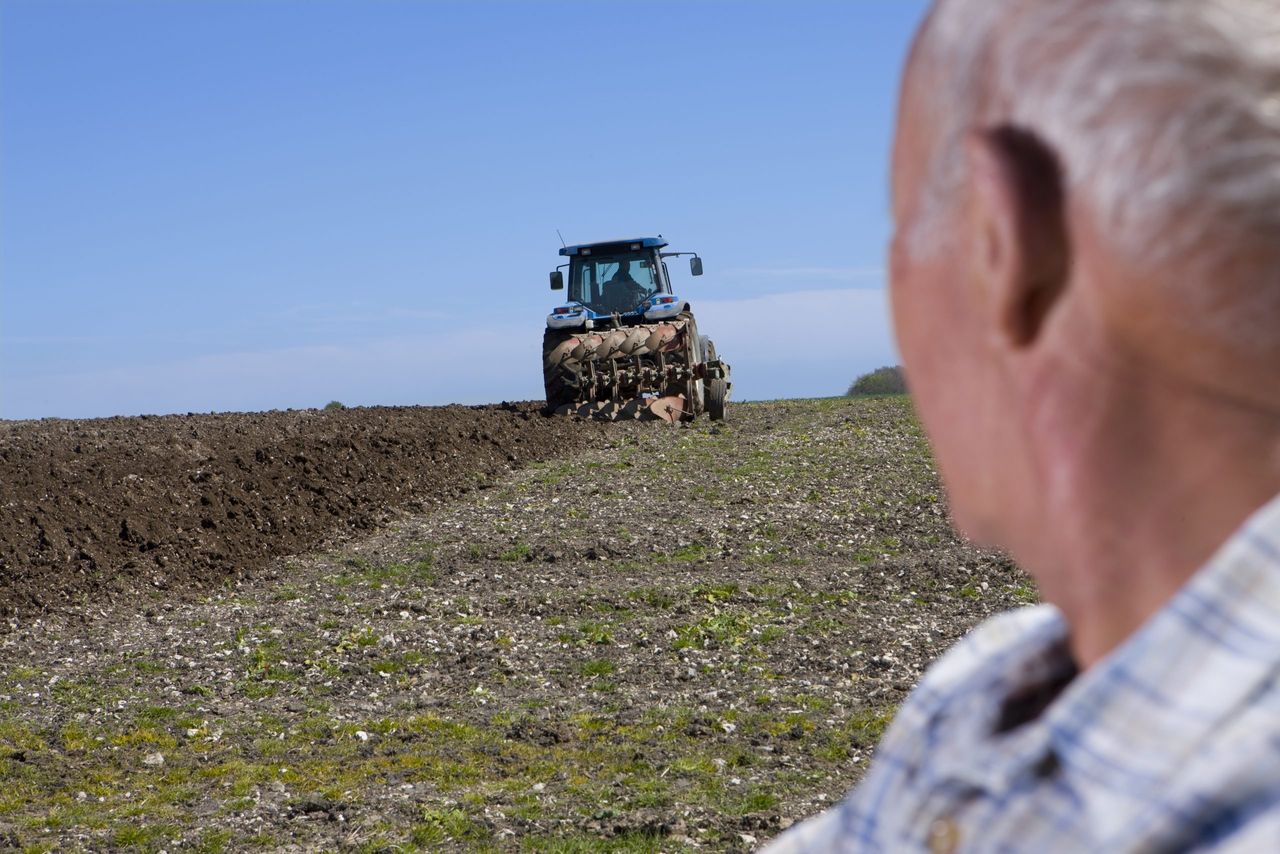 NI farmers need 'straight answers' on available support - UFU