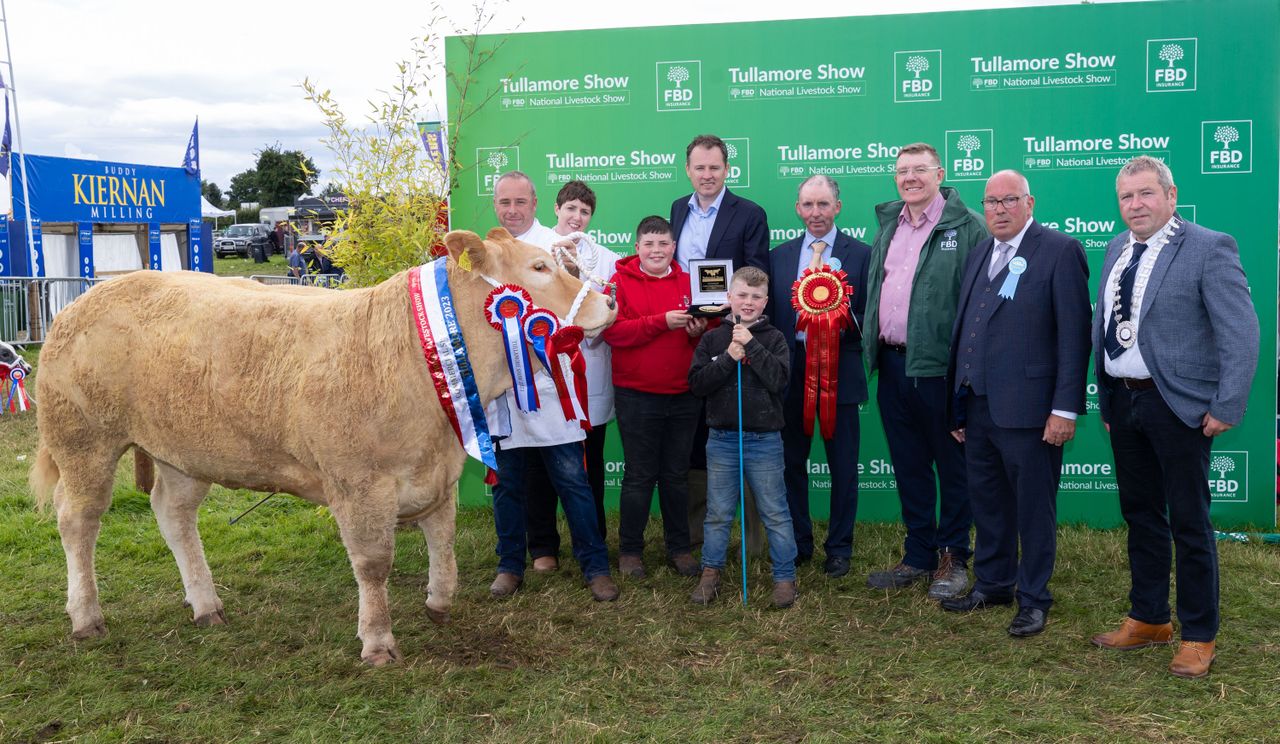 Deadline for Tullamore Show online entries approaching