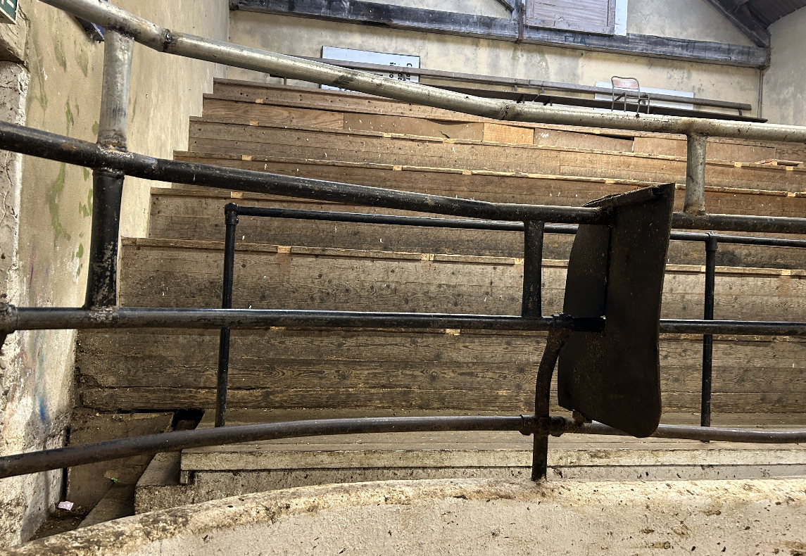Concerns voiced by weanling exporters at AHI meeting