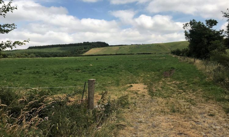 National drought warning extended by Met Eireann
