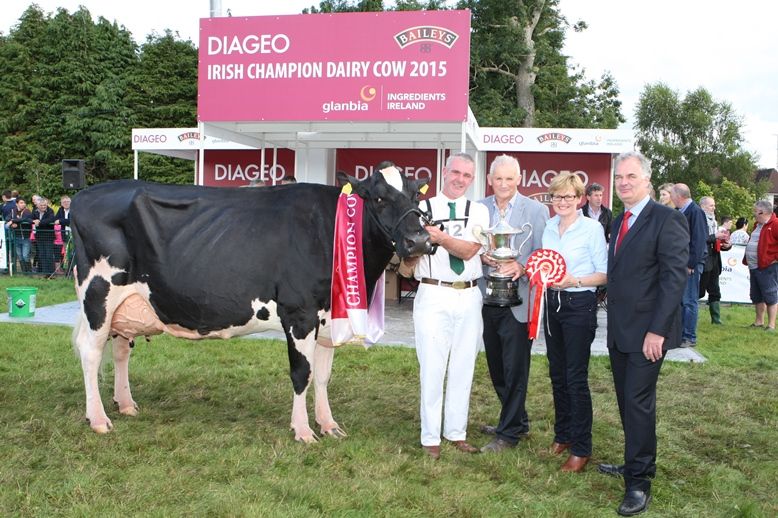 Cork breeder wins Diageo: Baileys Dairy Cow of the Year