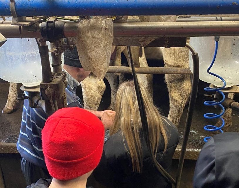 'Sir, when are we going out on the farm?' - Teacher raises concerns over curriculum