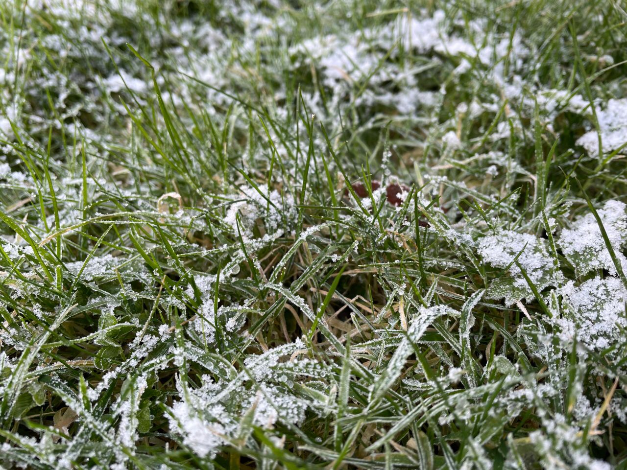 Met Éireann: Changeable and cold conditions this week