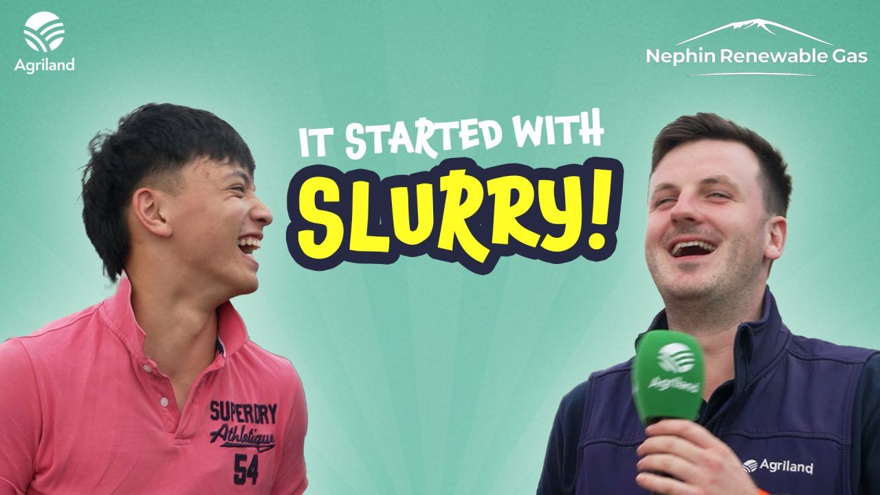 It Started With Slurry: Brazilian beef, the rise of trad music and future aspirations