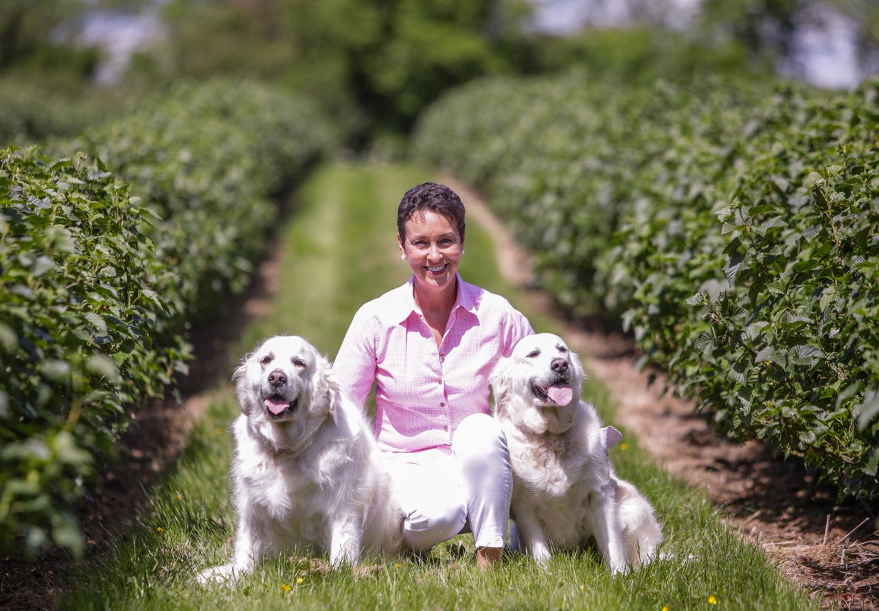 'Incredible appetite among consumers for produce delivery'