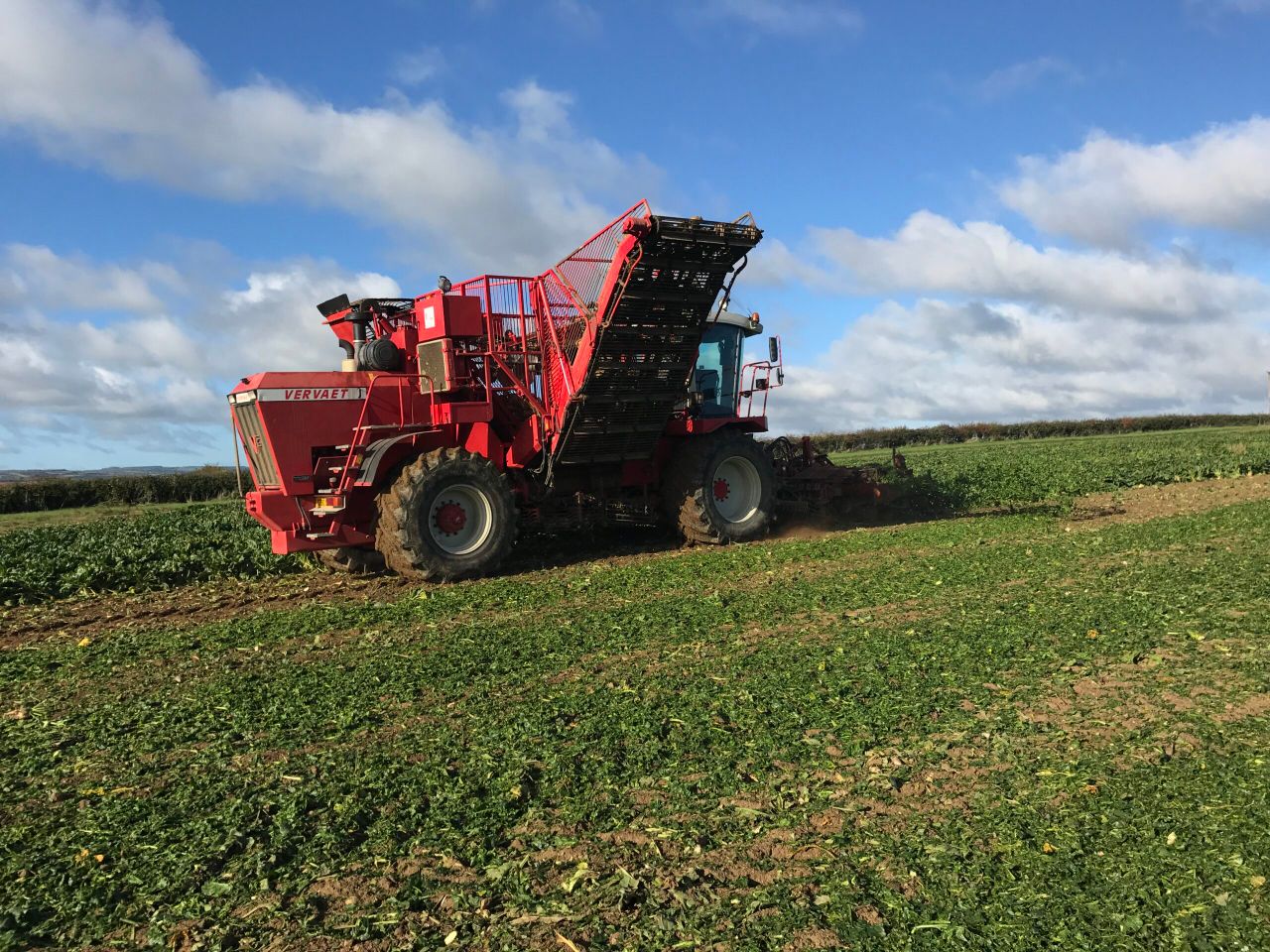 Tillage focus: Pulling beet with a self-propelled harvester in Co. Laois