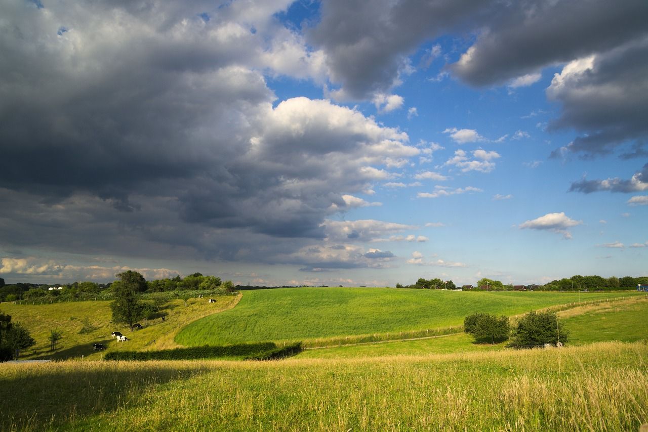 Bank holiday weekend weather: Dry, cool and settled