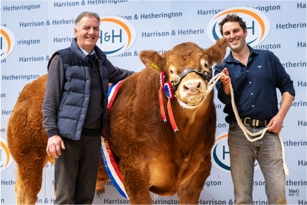 First-time vendor sells bull for 'world record' price at Carlisle