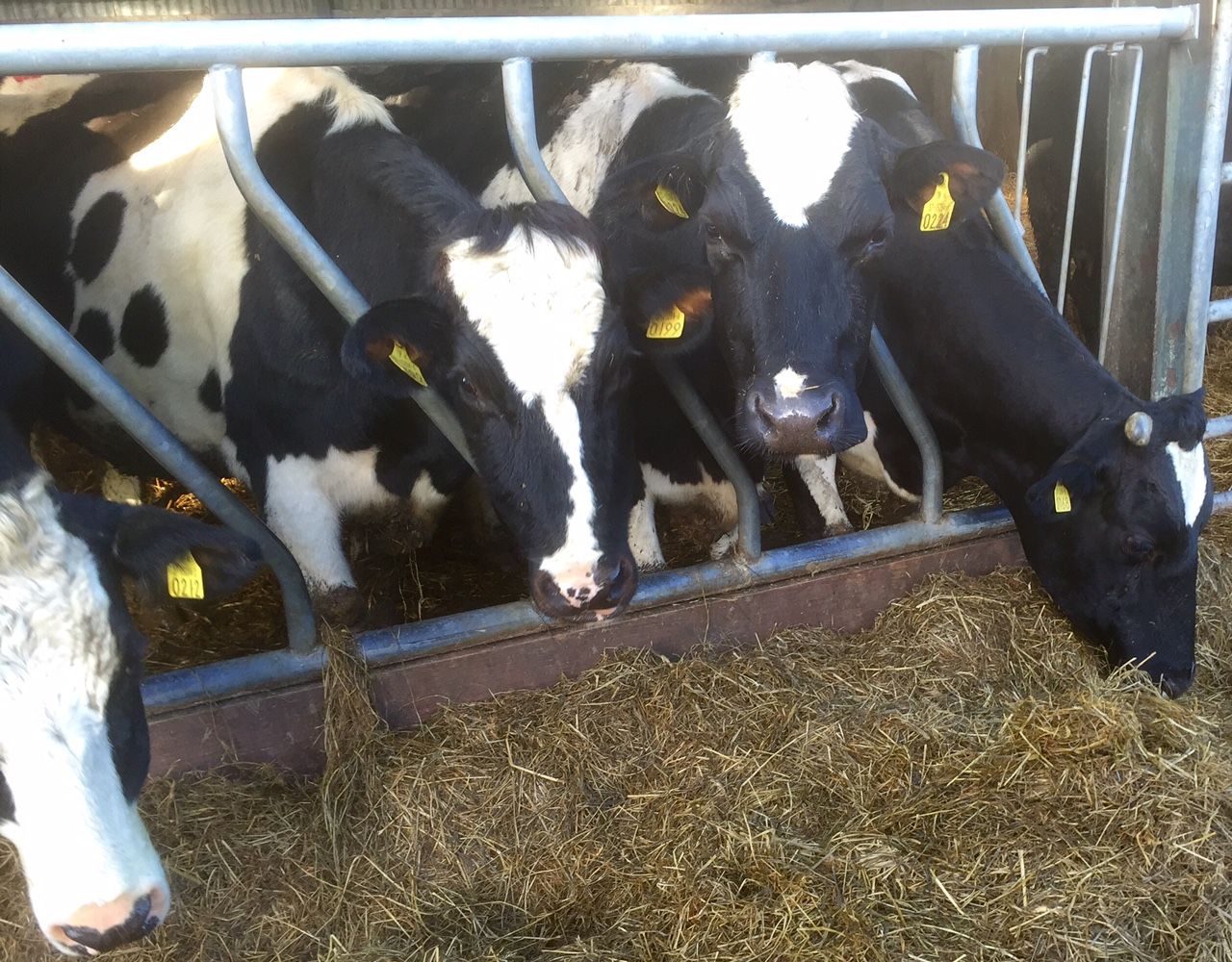 Collaborative farming can help address labour shortages