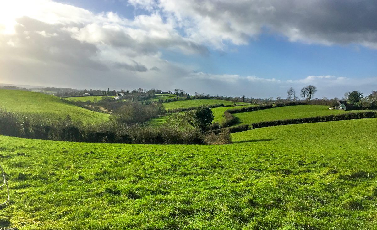 Dairy focus: A time of change on Monaghan's drumlin hills