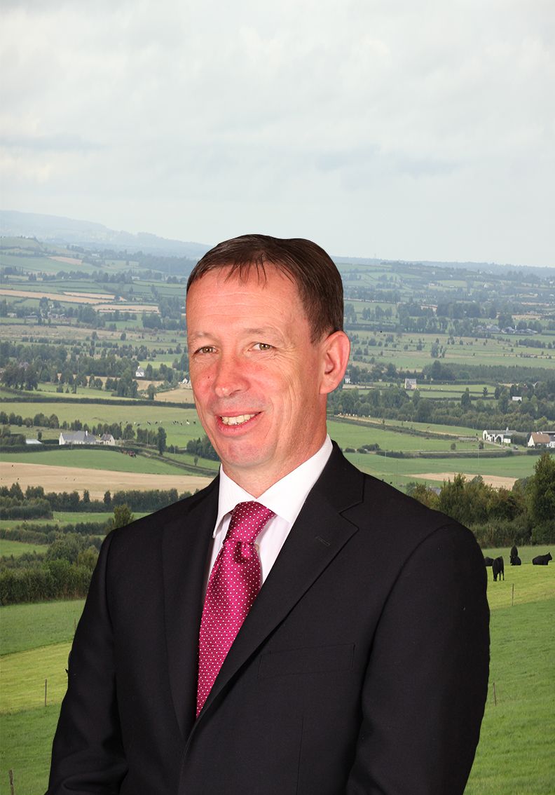 Bergin to push for election as IFA treasurer