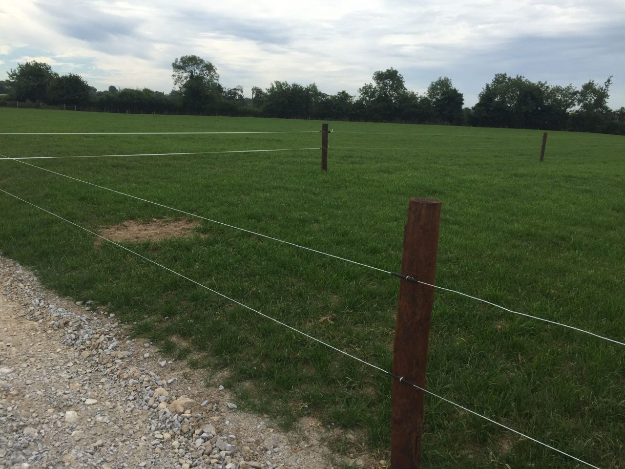 Purchase of creosote fence posts allowed up to April 2023