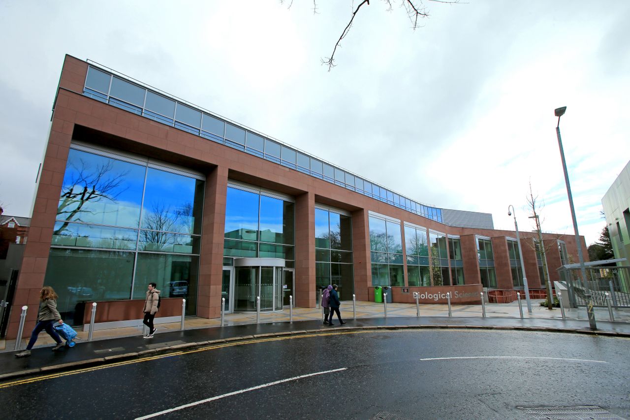 Belfast-based IGFS to join UN research group