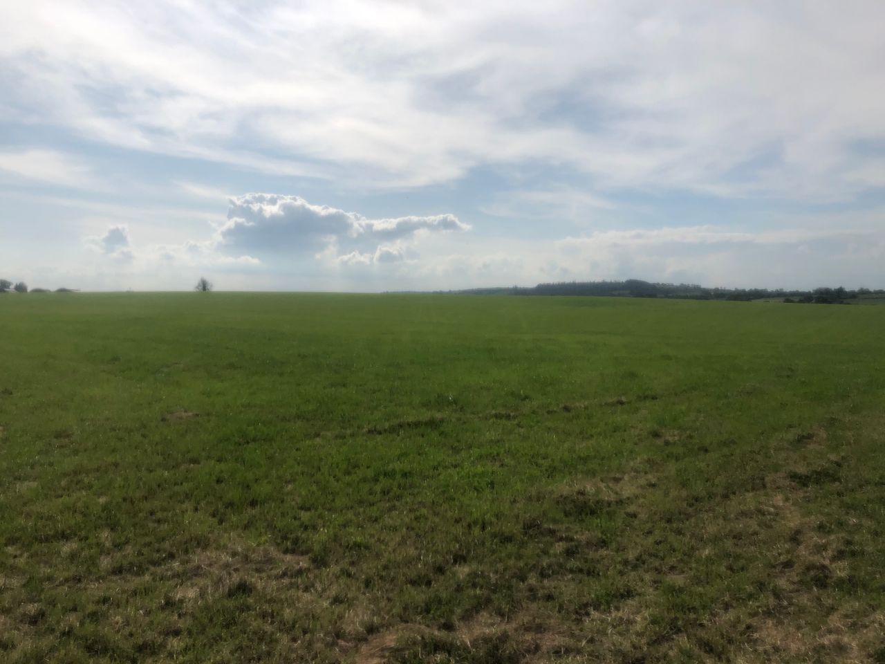What should have been... 'Ploughing' site lays empty as 2020 event cancelled