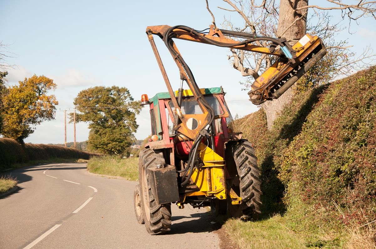 No changes to hedgecutting dates ahead of ban coming into effect