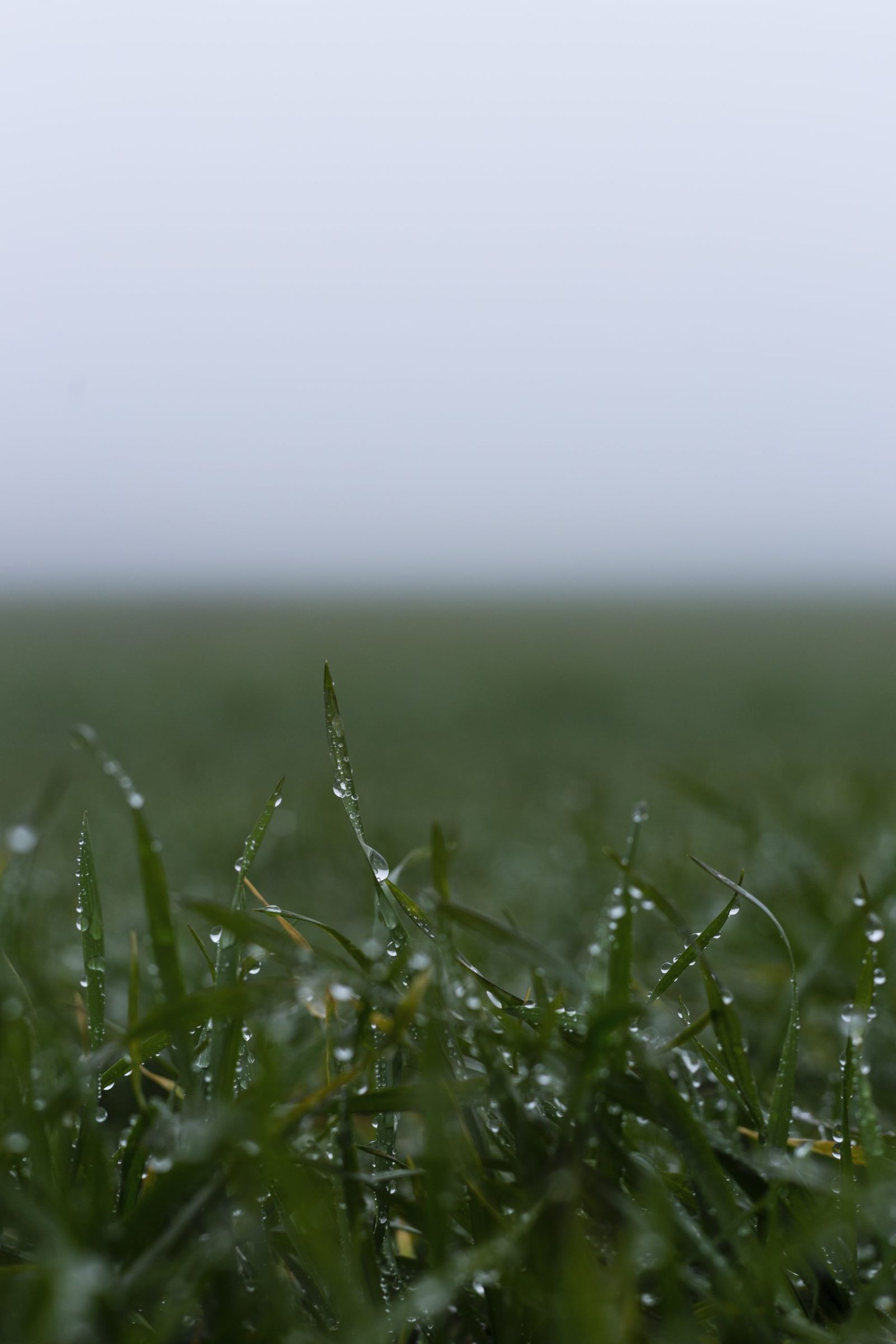 Met Éireann Climate Statement: March 2026 wetter than normal - Agriland.ie