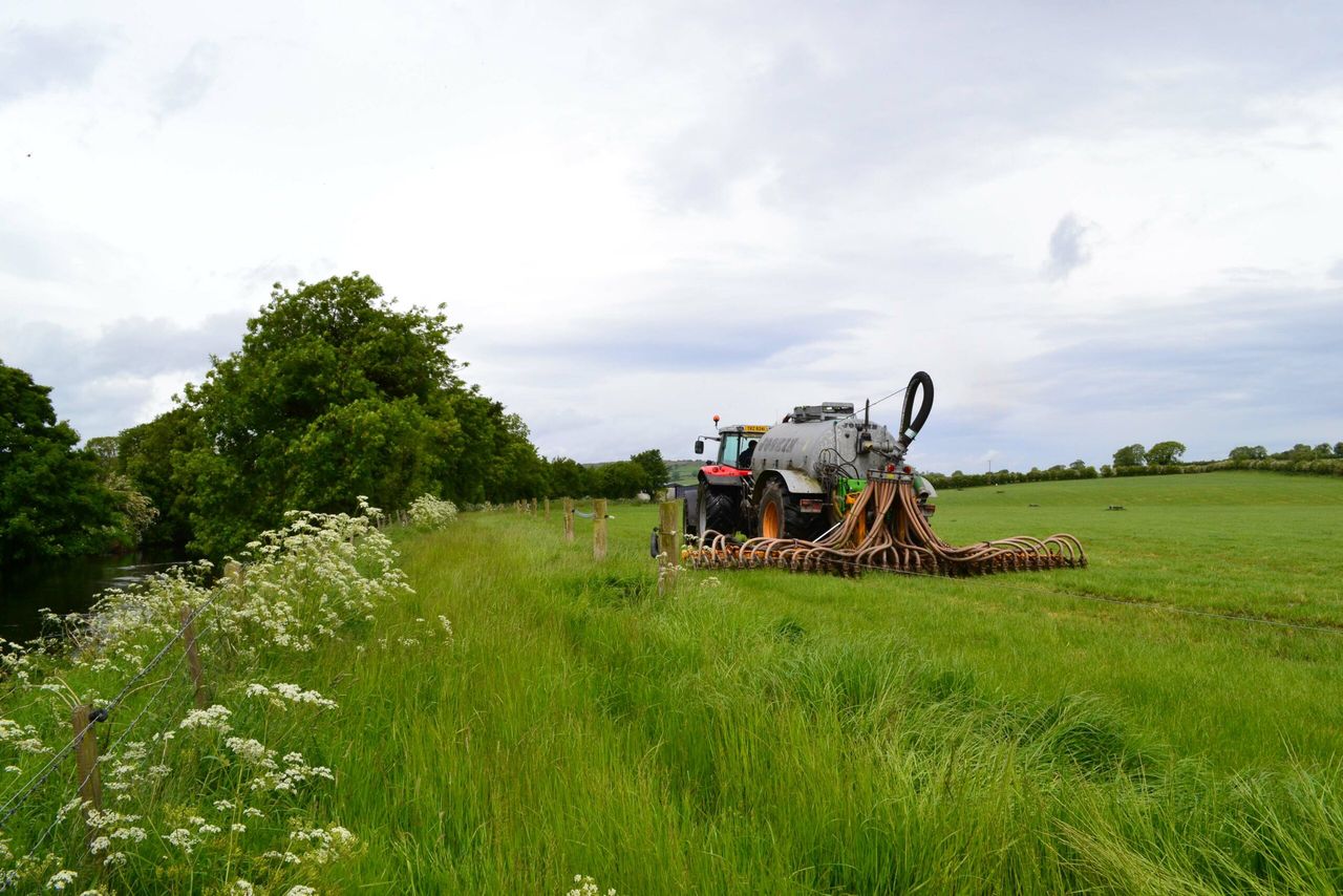 Nutrient efficiency key for after-grass