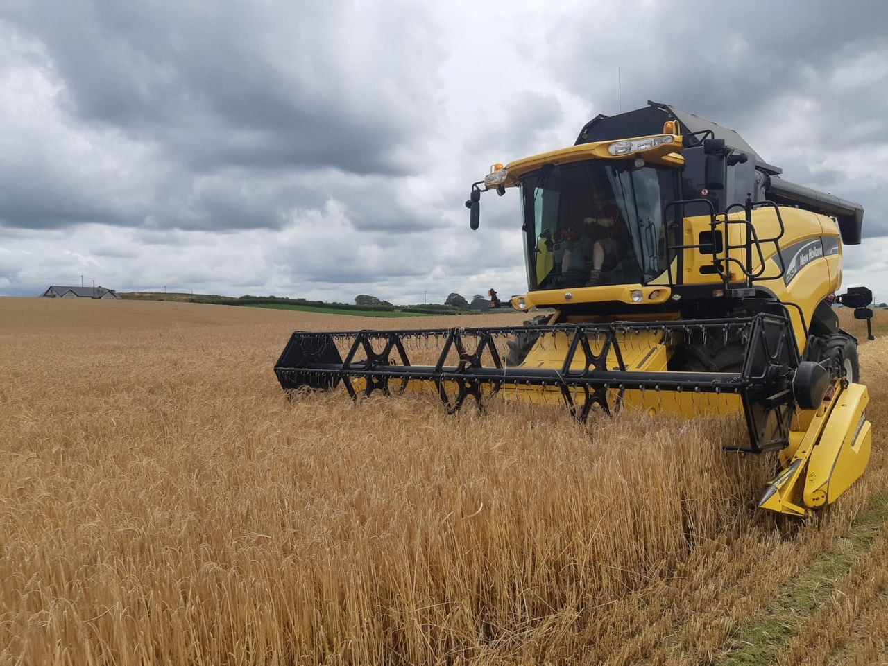 Malting barley – Donegal’s best kept secret