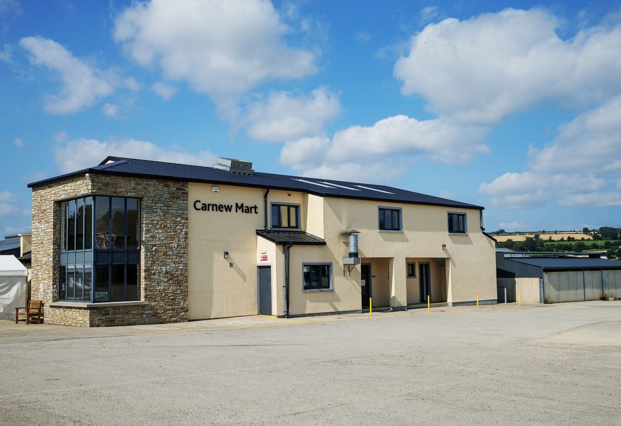 Sheep marts: Cast ewes hit €294 at Carnew Mart