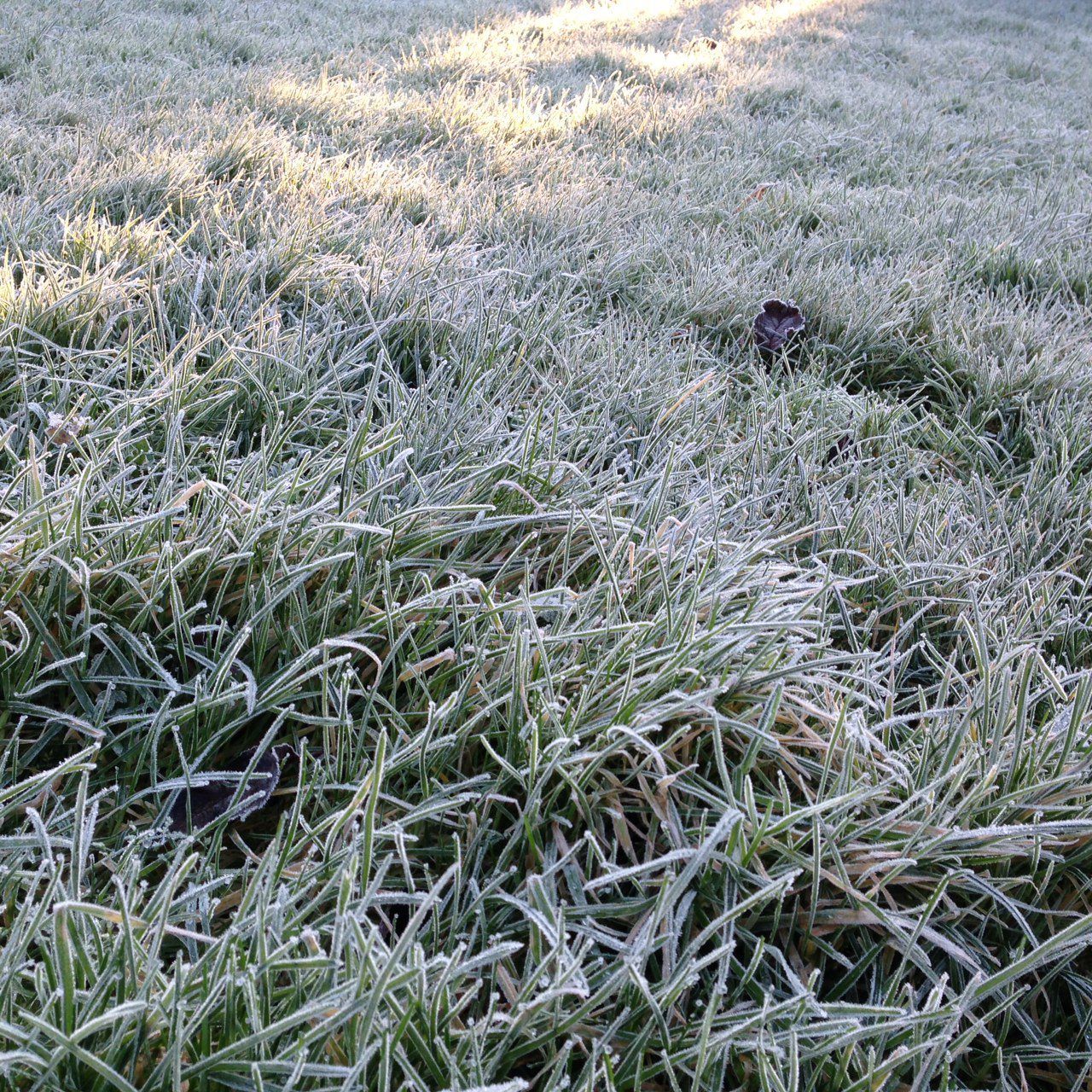 Turning colder with a good deal of dry weather this week