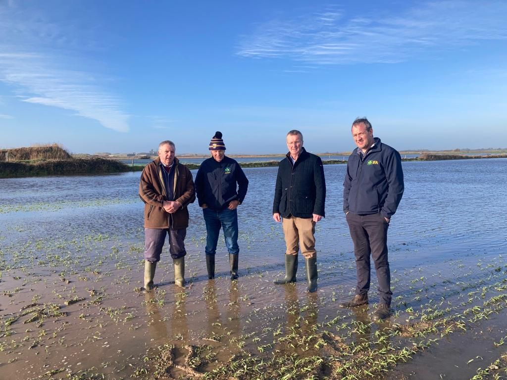 Hundreds of acres of Wexford land still under flood waters