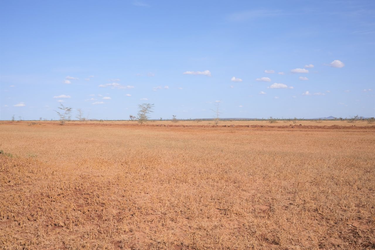 Ireland's role in climate finance for global loss and damage
