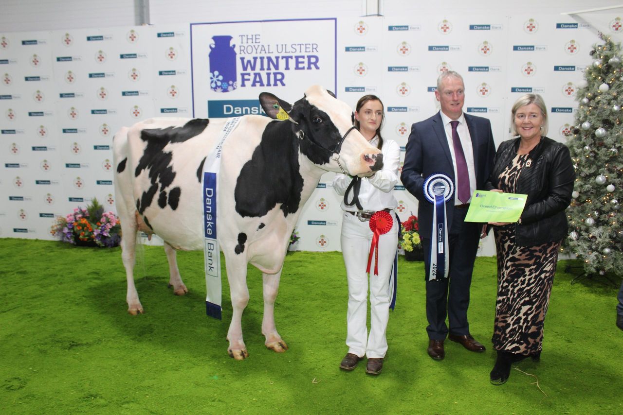 Winter Fair 2024: Celebrating pedigree dairy farming in Ireland