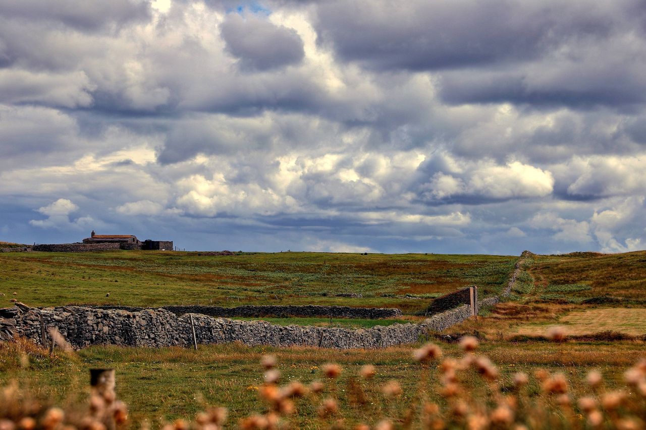 Creative farming projects taking climate action to benefit from €2m fund