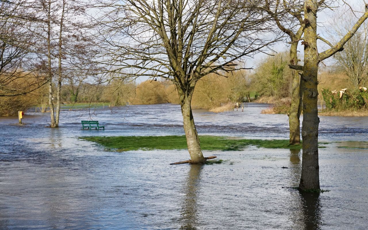 Storm Claudia: Farmers advised to move livestock to higher ground