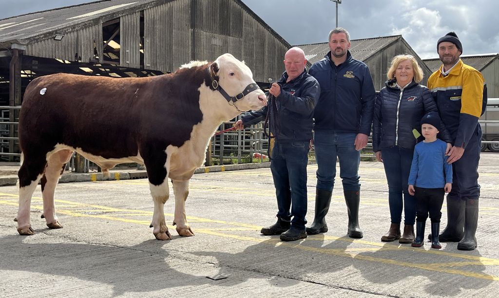 Kyepoll 1 1 Panda 989 with breeder Padraig McGrath, sponsor Tennyson Egar from Irish Hereford Prime, breeder Catherine McGrath and purchasers Richard and Jack Heffernan