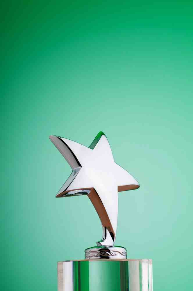 Ireland's top cow breaks €350 EBI ranking